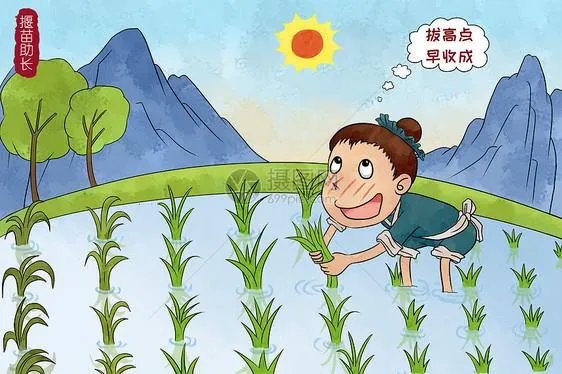 拔苗助长告诉我们什么道理？