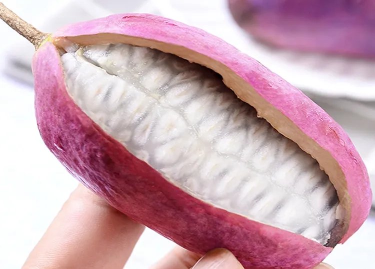 八月瓜的功效与作用