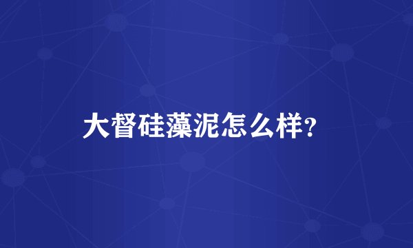 大督硅藻泥怎么样？