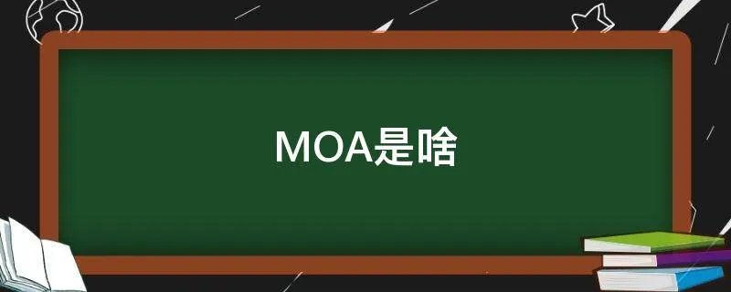 MOA是啥