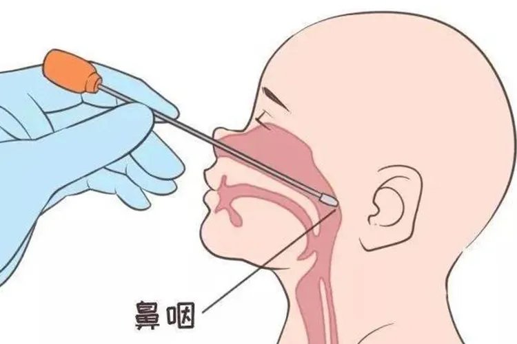 测核酸测哪个部位