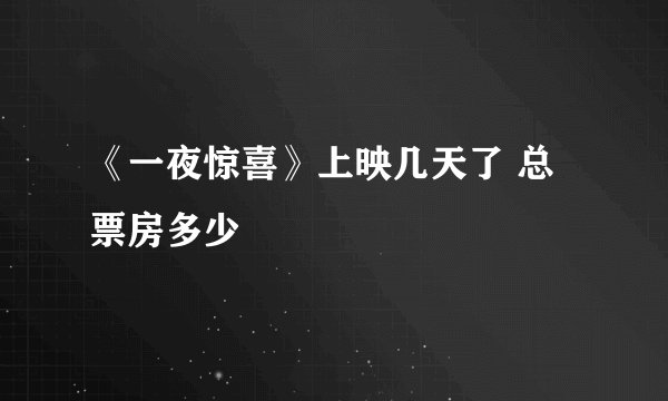 《一夜惊喜》上映几天了 总票房多少