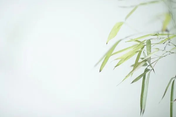 胸有成竹的主人公是谁