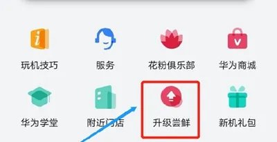 鸿蒙4.0申请入口位置详情