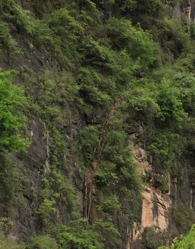 四川“悬崖村”将建景区是真的吗？