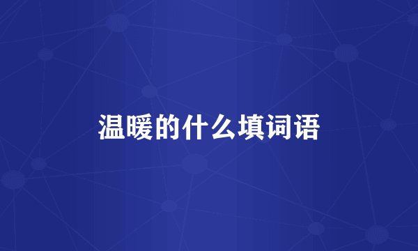 温暖的什么填词语