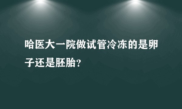 哈医大一院做试管冷冻的是卵子还是胚胎？