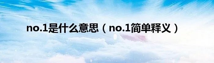 no.1是什么意思（no.1简单释义）