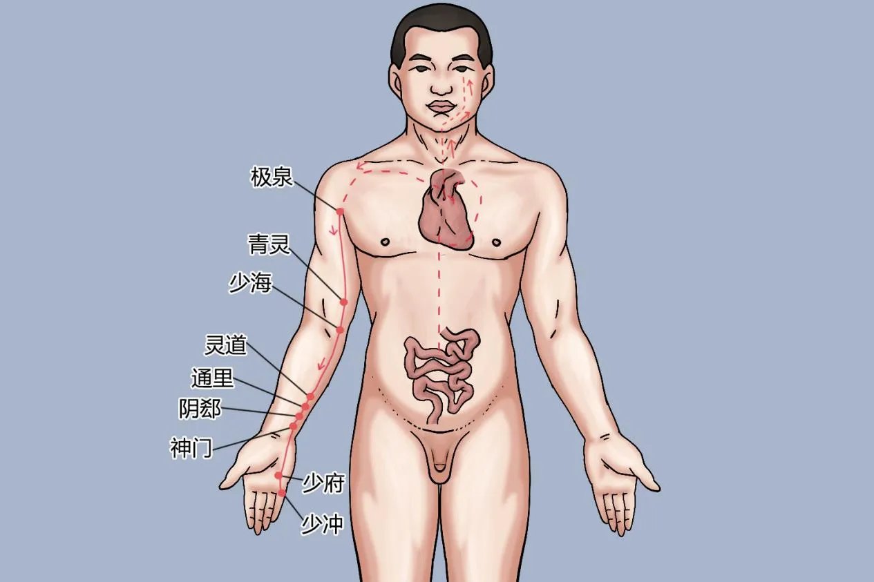 手掌上的经络图解