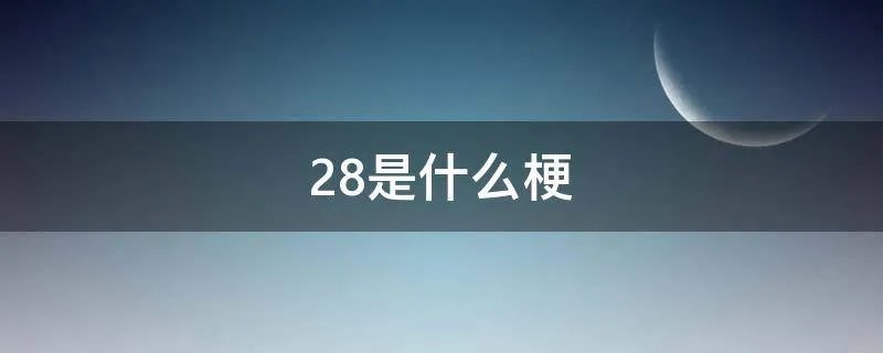 28是什么梗