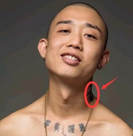 GAI爷为什么退出《我是歌手》?