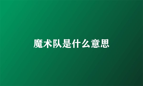 魔术队是什么意思