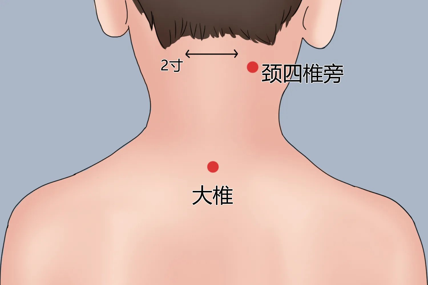 小儿大椎，膻中，肺俞准确位置图