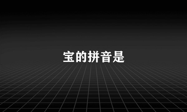 宝的拼音是