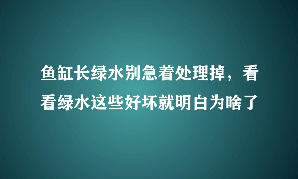 鱼缸长绿水别急着处理掉，看看绿水这些好坏就明白为啥了