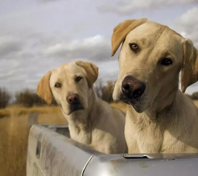有没有霸气点的头像？