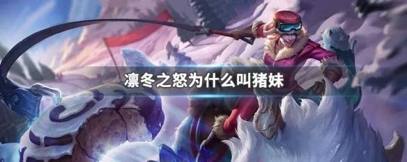 凛冬之怒为什么叫猪妹