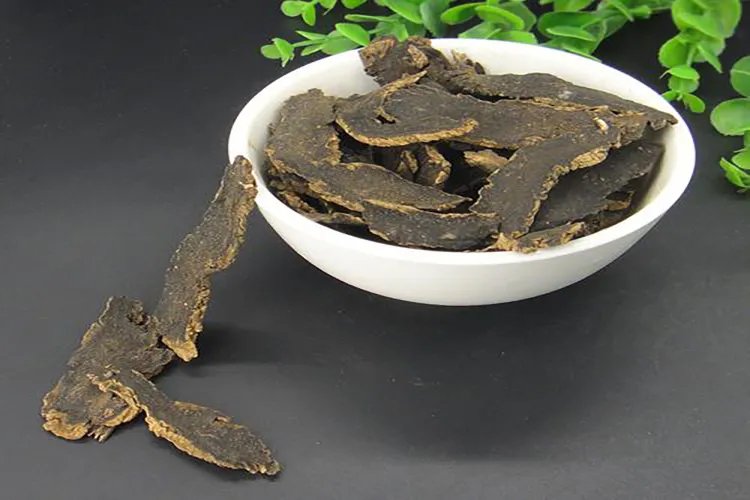 玄参图片大全高清