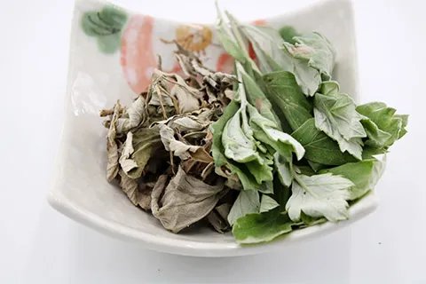 艾叶有什么作用