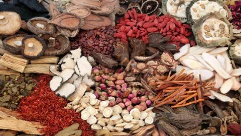 夜交藤的功效与作用及禁忌