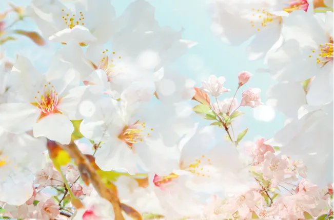 立春是什么时候 每年立春时间一样吗