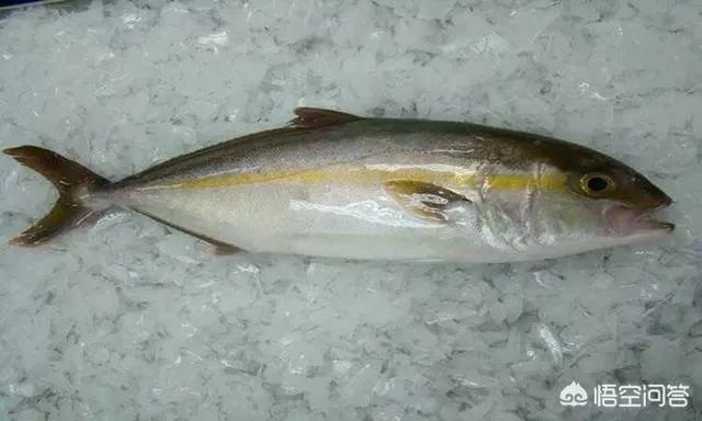 汕头有什么好玩的地方?