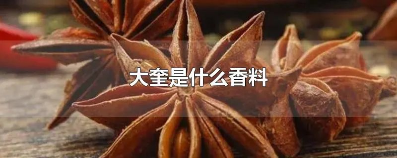 大奎是什么香料