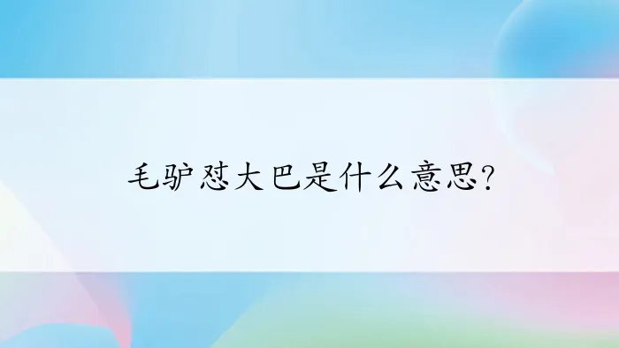 毛驴怼大巴是什么意思？