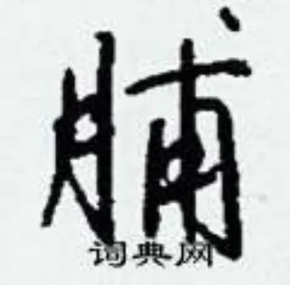 脯组词_脯字怎么组词_脯组词有哪些_带脯字的词语