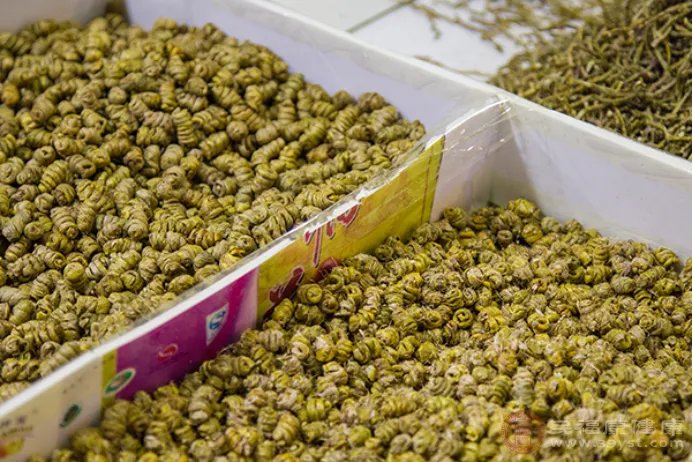 石斛花泡水喝的功效有哪些