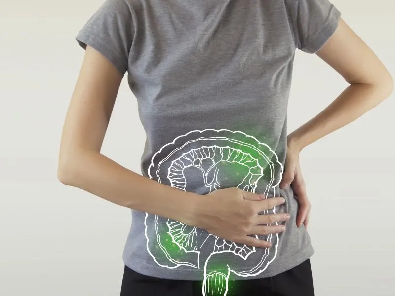 米雅可以长期吃吗