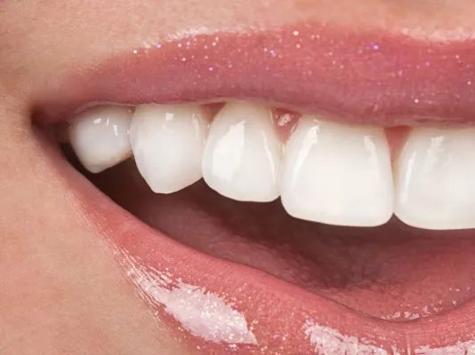 龙齿的主要功效与作用