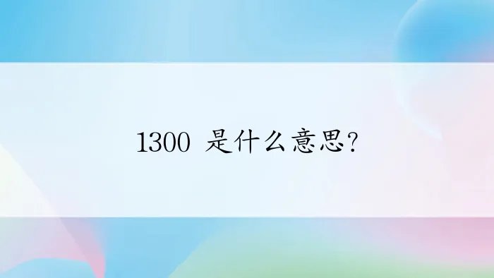 1300 是什么意思？