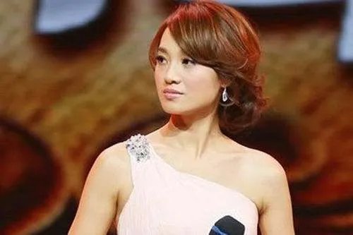 朱丹和伊一同出于浙江卫视,你觉得谁的主持风格更有特色?