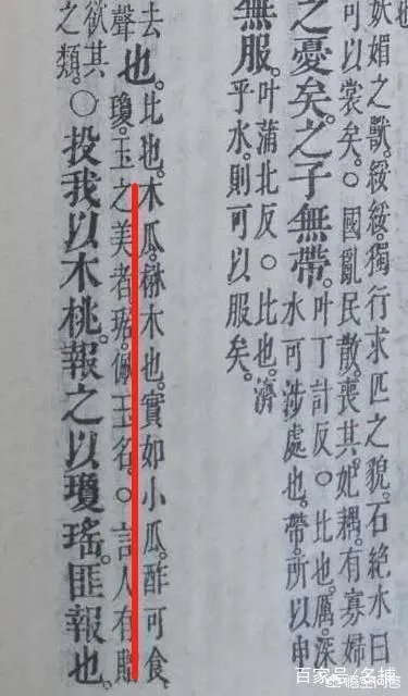 投我以木瓜的木瓜是什么