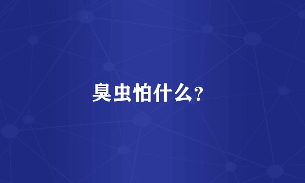 臭虫怕什么？