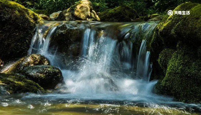 上善若水下一句