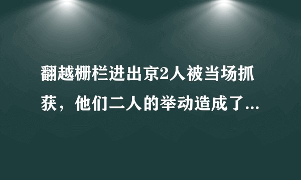 翻越栅栏进出京2人被当场抓获，他们二人的举动造成了怎样的恶劣影响？