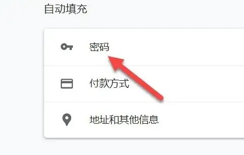 谷歌英文版浏览器