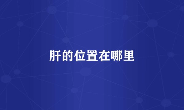 肝的位置在哪里