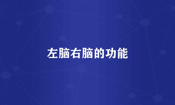 左脑右脑的功能