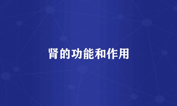 肾的功能和作用