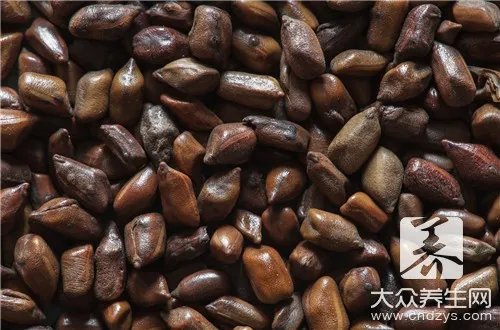 决明子泡水喝竟有6个害处