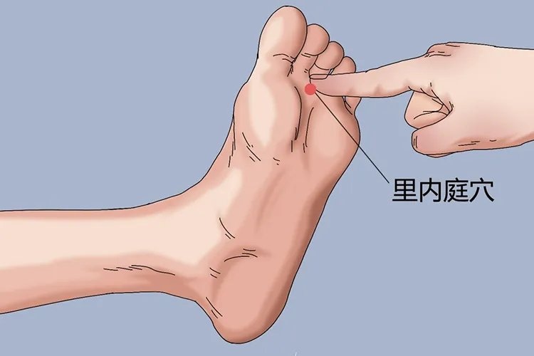 脚底穴位图