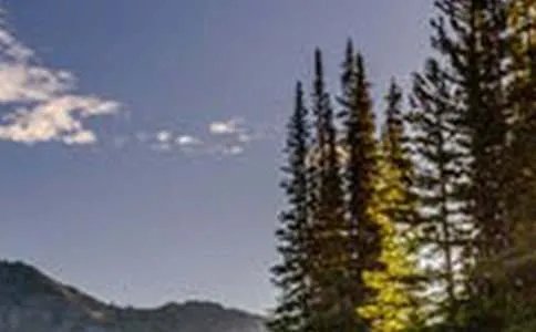 我心中的风景作文600字