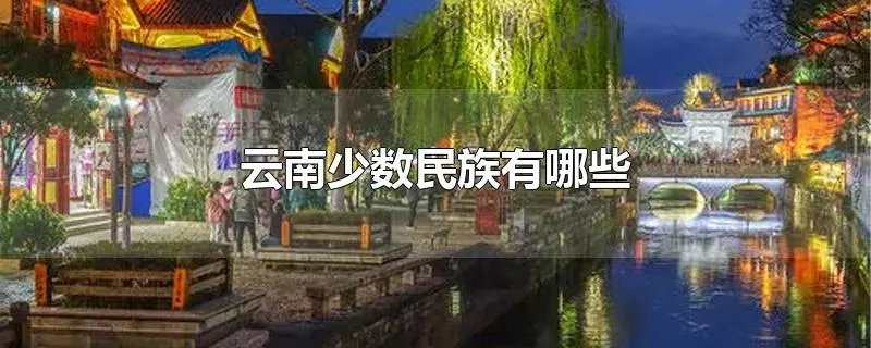 云南少数民族有哪些