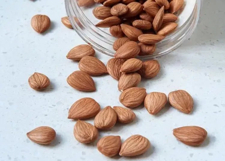 杏仁的功效与作用