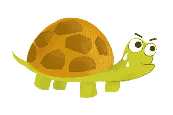 乌龟蛋的功效与作用