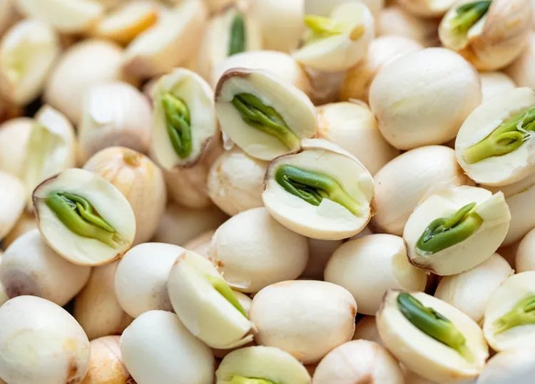 莲子的功效与作用