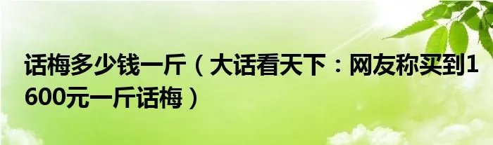 话梅多少钱一斤（大话看天下：网友称买到1600元一斤话梅）